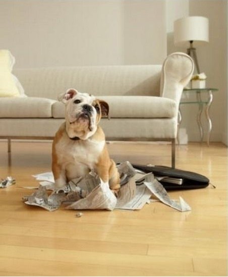 �������Д[�O(sh��)��(y��ng)ԓ�M������һЩ���F�ء���Ʒ