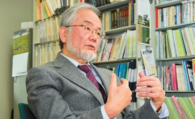 ���������Y����Ƭ���W(w��ng)�j(lu��)�DƬ