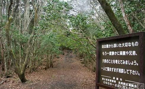 ȫ����׃�B(t��i)��10��(g��)�ط�����^������ȥ��