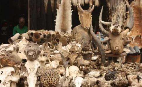 ȫ����׃�B(t��i)��10��(g��)�ط�����^������ȥ��