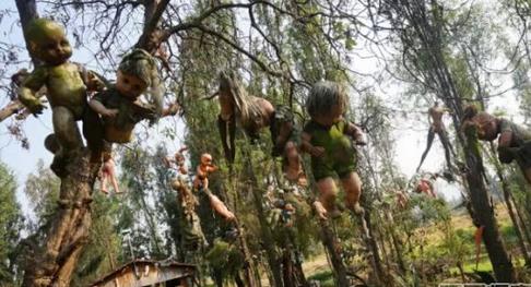 ȫ����׃�B(t��i)��10��(g��)�ط�����^������ȥ��